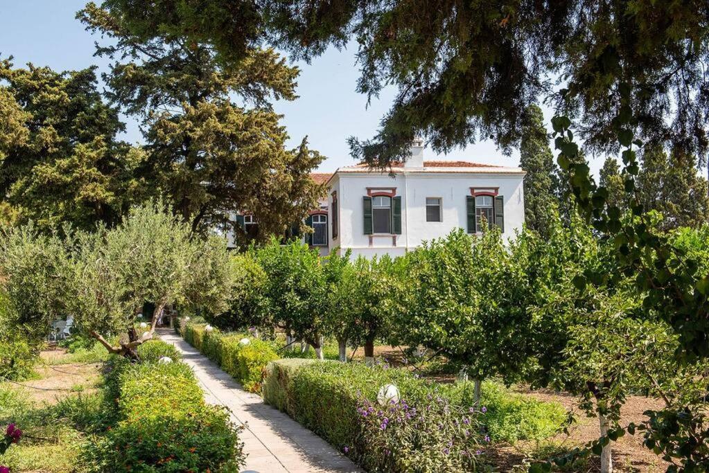 Calvocoressi Estate - B&B