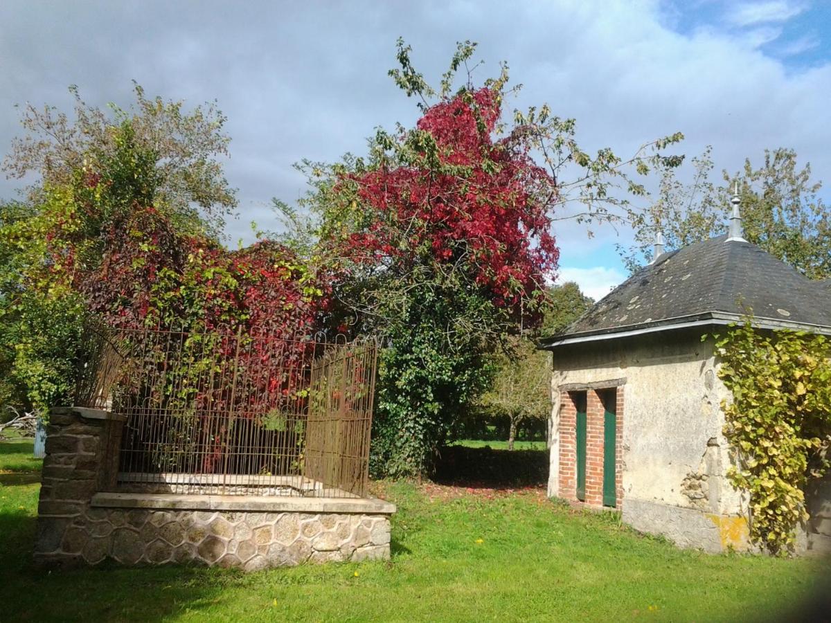 Le Chateau du grand Coudray - B&B Villaines-la-Juhel