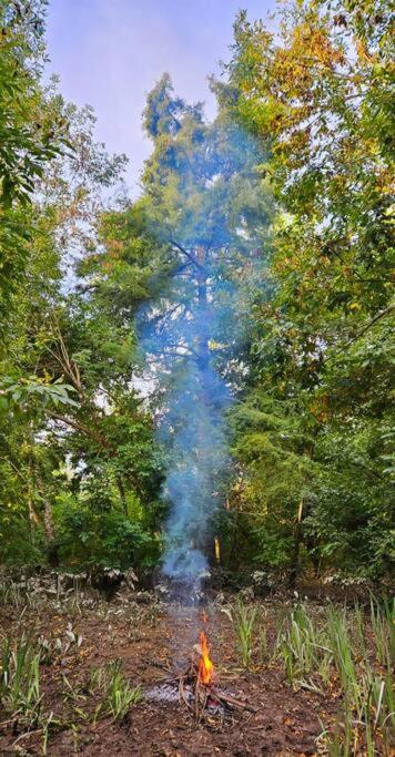 Cabaña Los Cipreses - Chambres d’hôtes Tigre