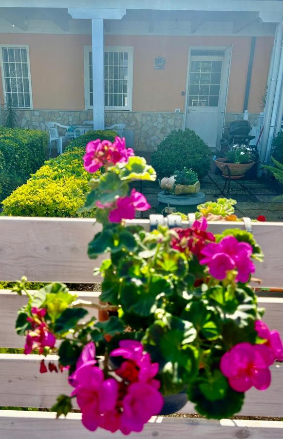 Demetra Apartment Sperlonga - B&B