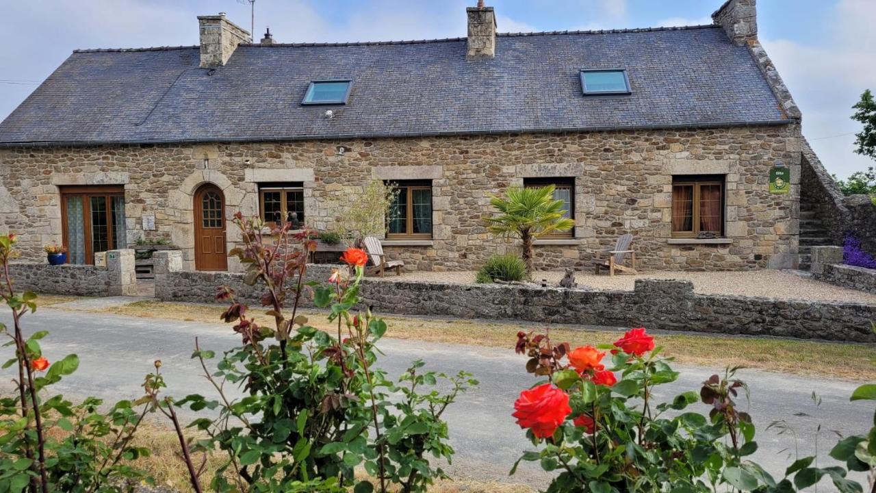 Le camélia blanc - B&B