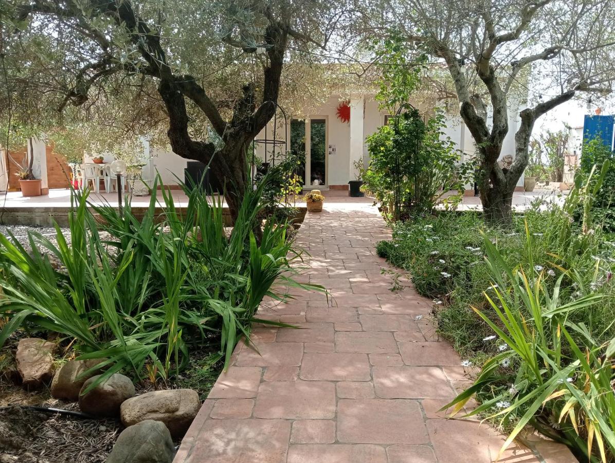 Casa vacanze l'ulivo - B&B