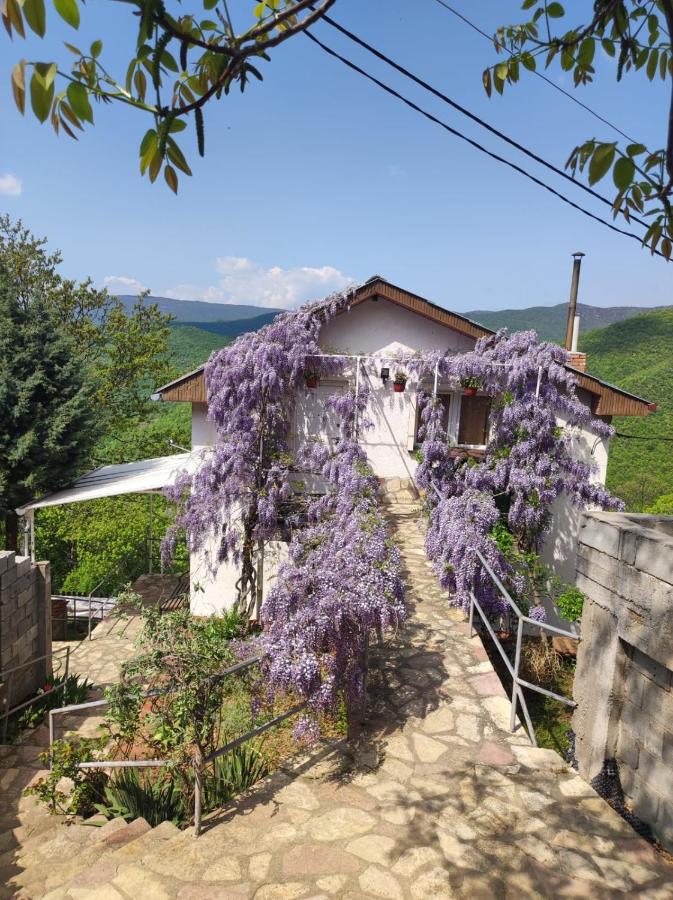 B&B Skopje - Vila Fantastico - Bed and Breakfast Skopje