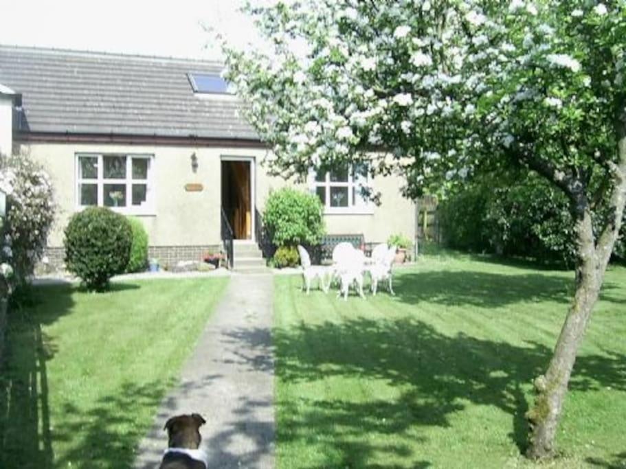 Garden Cottage Helensburgh - B&B