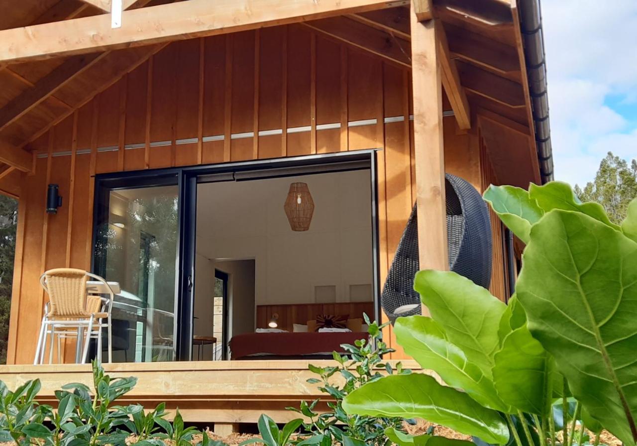 Estudio Deluxe con cama grande