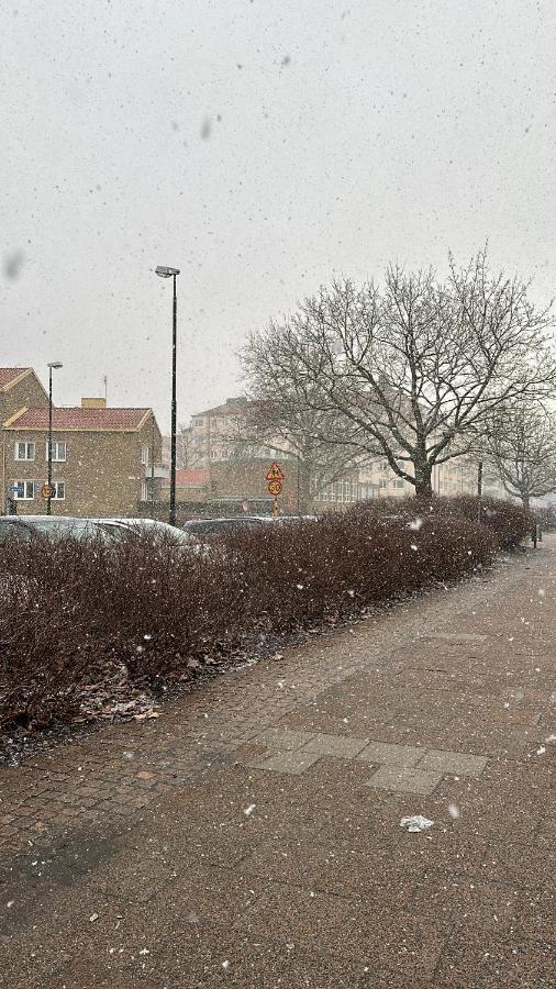 Spacious Apartment in central Malmö - B&B Malmo