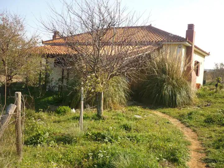 HAVOULI STUDIO 1 - B&B