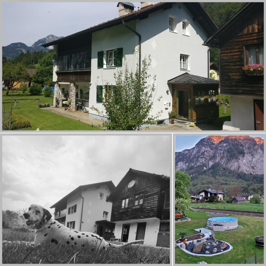 B&B Obertraun - Ferienwohnung Stricker - Bed and Breakfast Obertraun