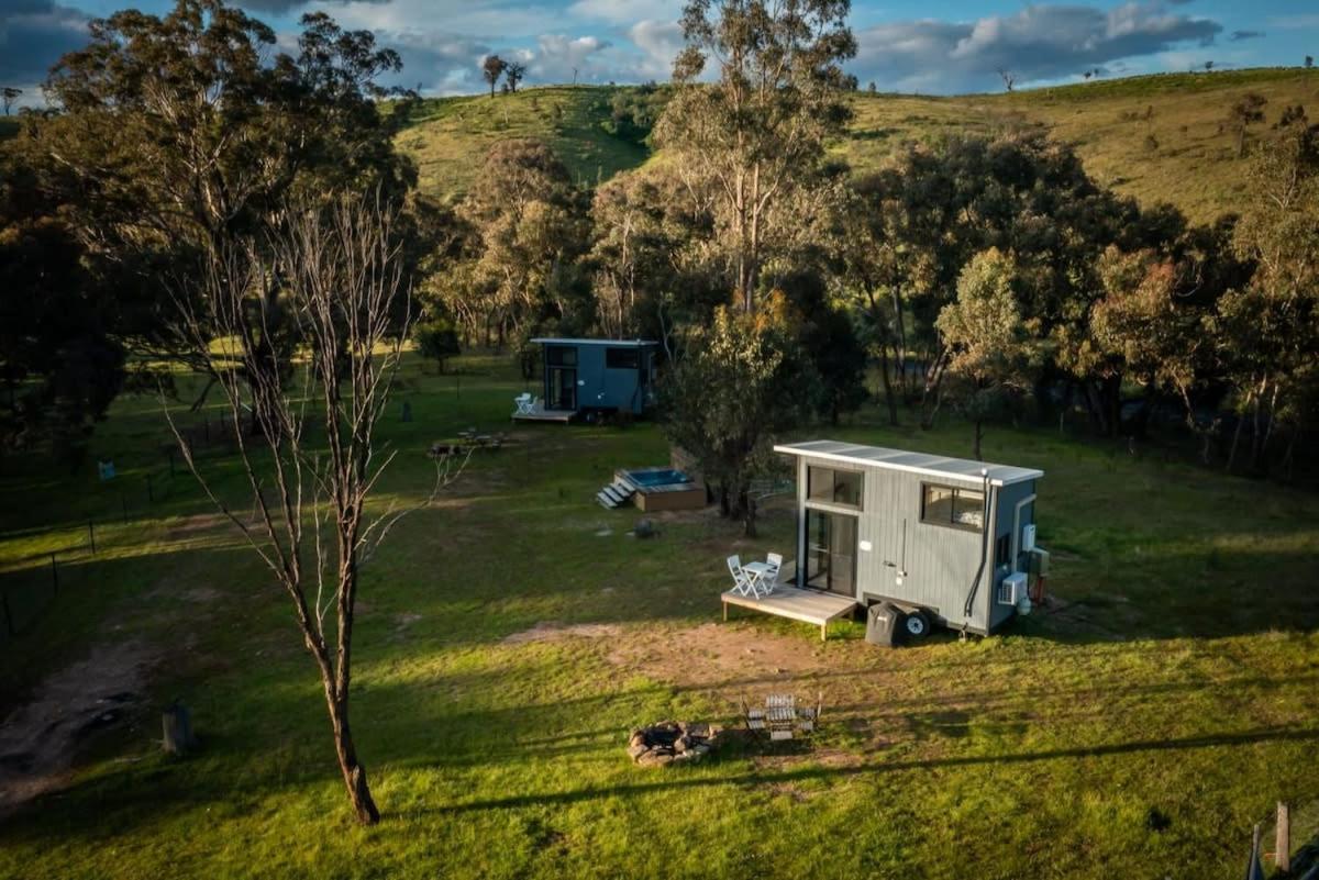 B&B Windeyer - Tiny House Farmstay at Dreams Alpaca Farm - A Windeyer Outback Experience - Bed and Breakfast Windeyer