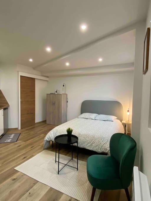Studio Île-Verte entièrement rénové - Proche tram - Chambres d’hôtes Grenoble