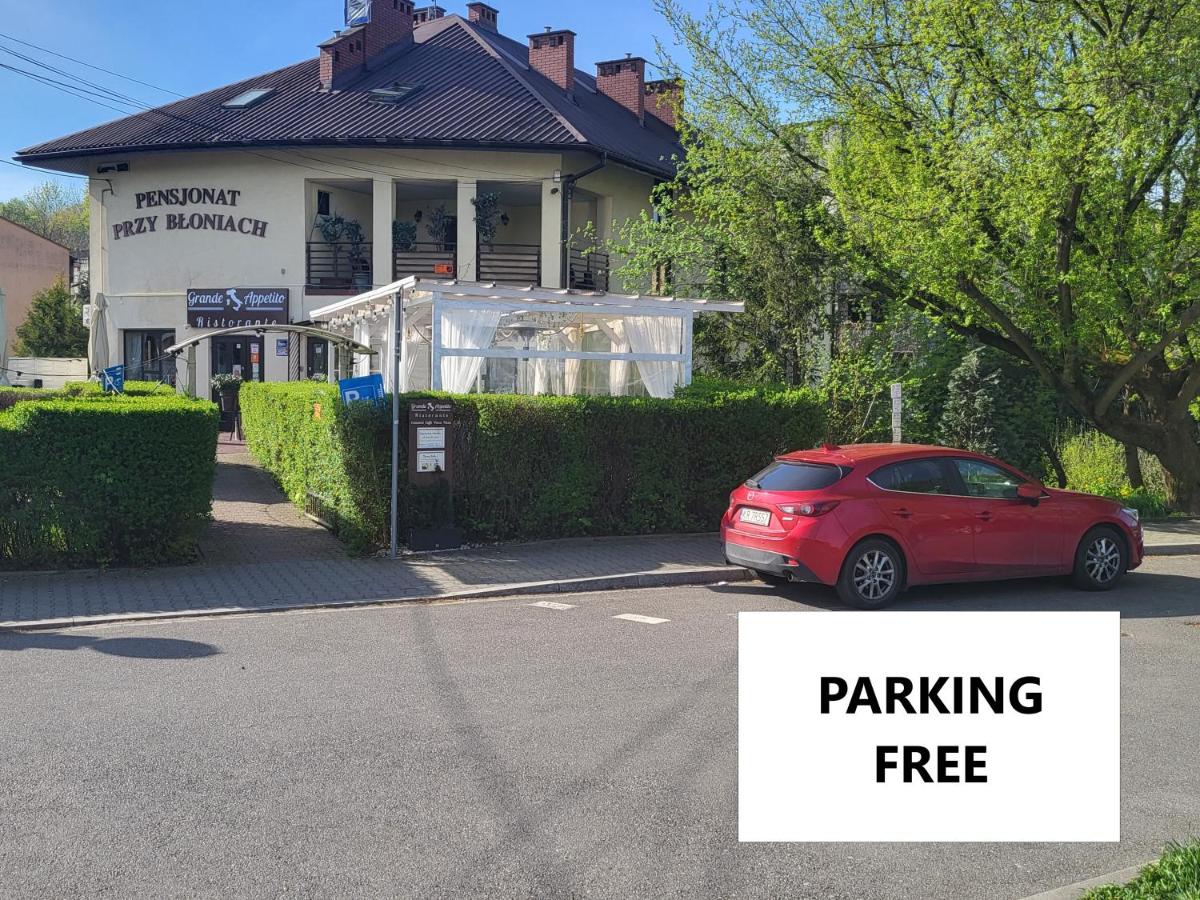 Pensjonat Przy Błoniach - B&B Cracovia