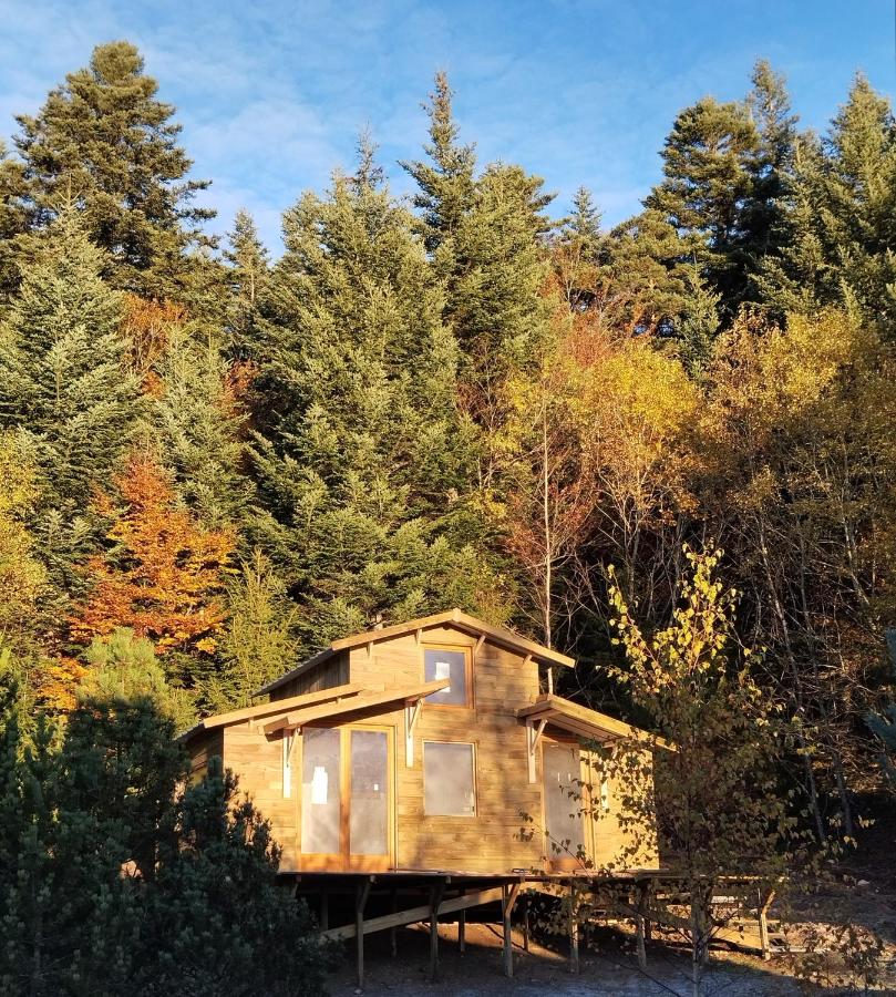 One-Bedroom Chalet