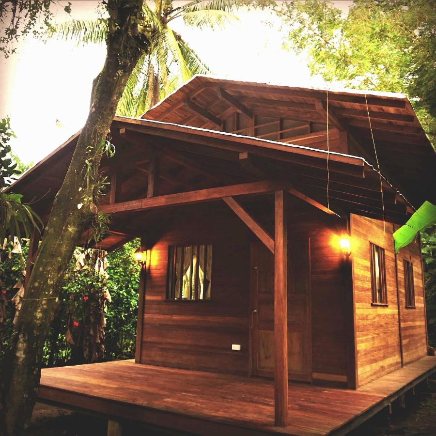 La tarima del colibri Ecolodge - B&B