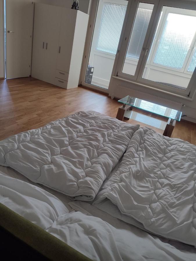 Apartment mit 1 Schlafzimmer