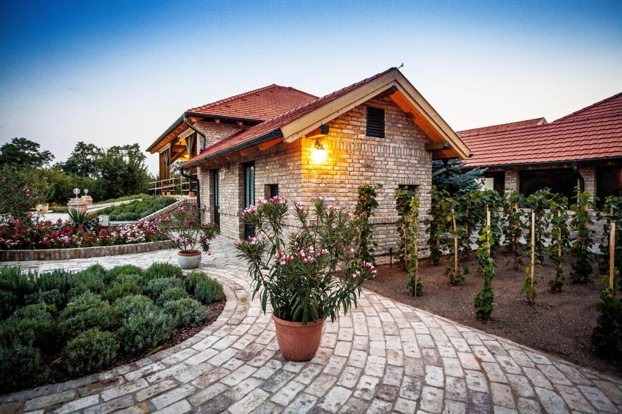BÉNI family wine farm - B&B