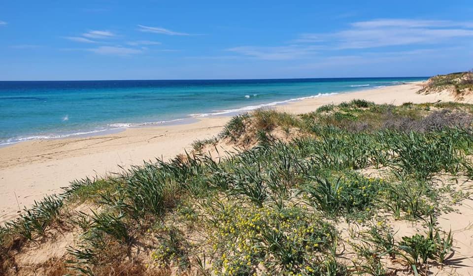 COMODO APPARTAMENTO A 50 MT DALLA SPIAGGIA DI PESCOLUSE - B&B Marina di Pescoluse