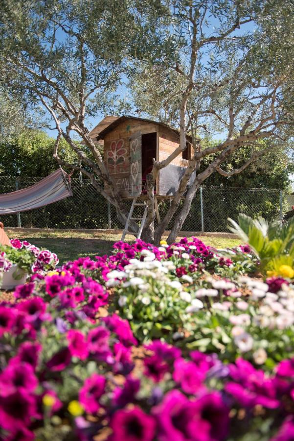 ELENA'S VILLA WITH VIEW - B&B