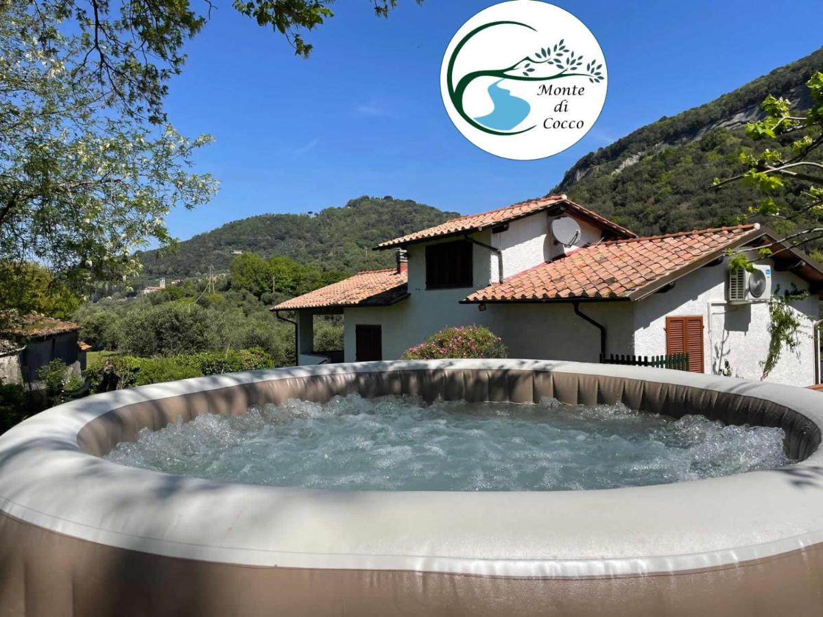 Villa del Monte di Cocco - B&B Massarosa