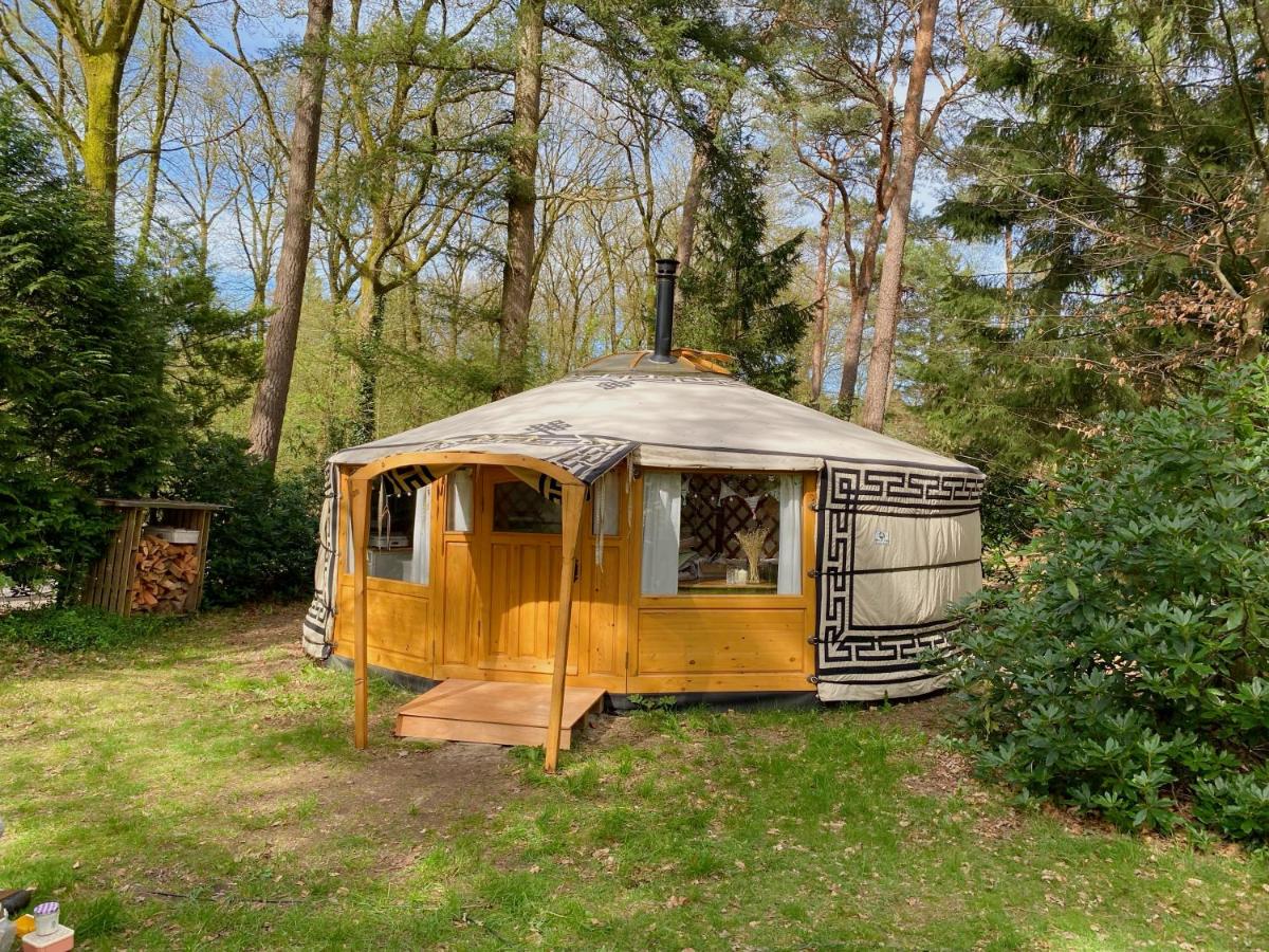 B&B Hollandsche Rading - Ons Yurt Huisje in het Bos - Bed and Breakfast Hollandsche Rading