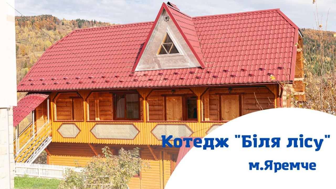 B&B Yaremtché - Котедж Біля лісу - Bed and Breakfast Yaremtché