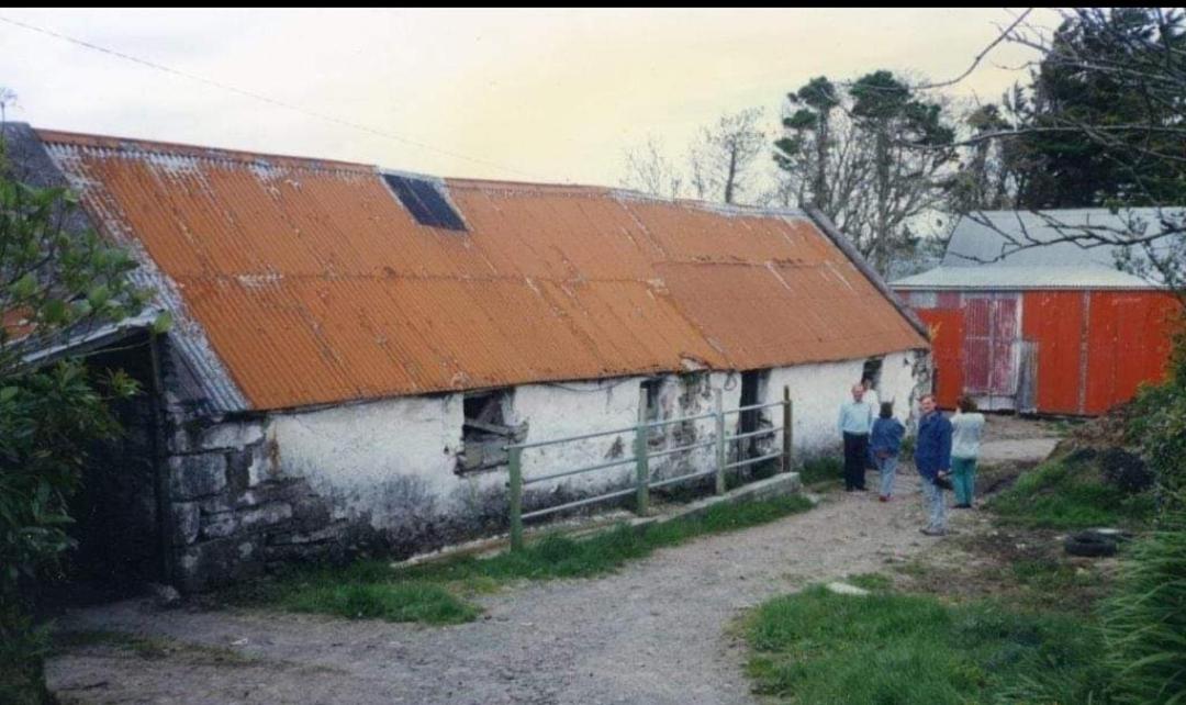 B&B Tralee - The Old House at Belfield - Bed and Breakfast Tralee