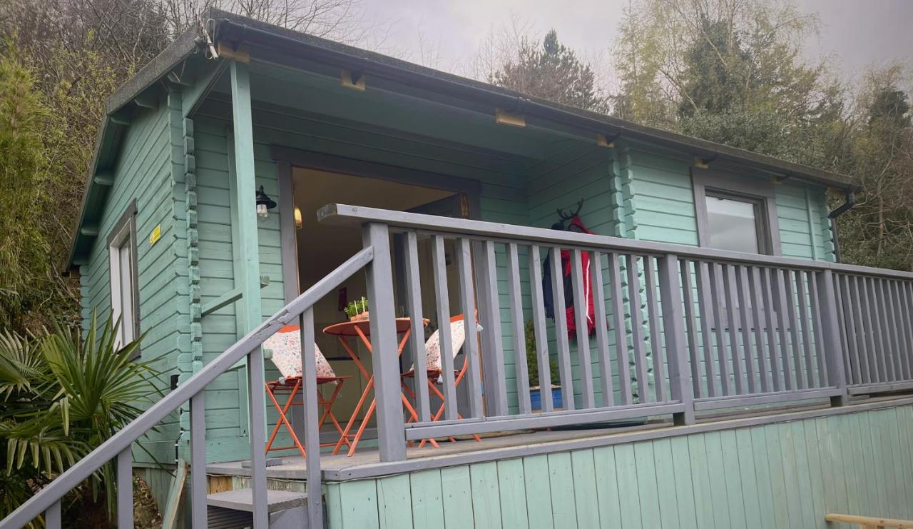 Mountainside Cabin - B&B Newcastle