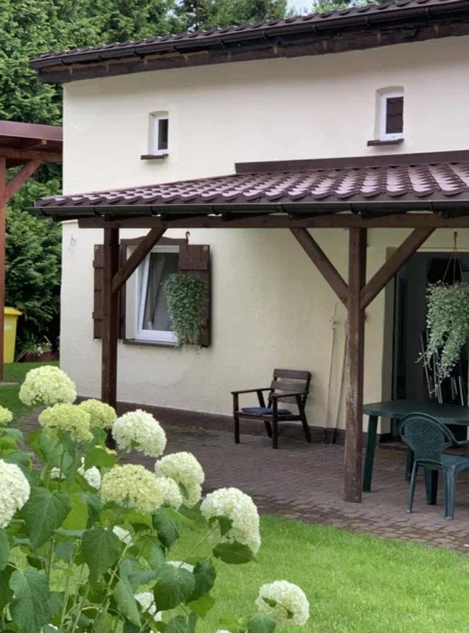 Cichy zakątek - B&B Zbiczno