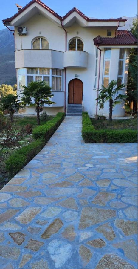 Vila Guri i Atos - B&B
