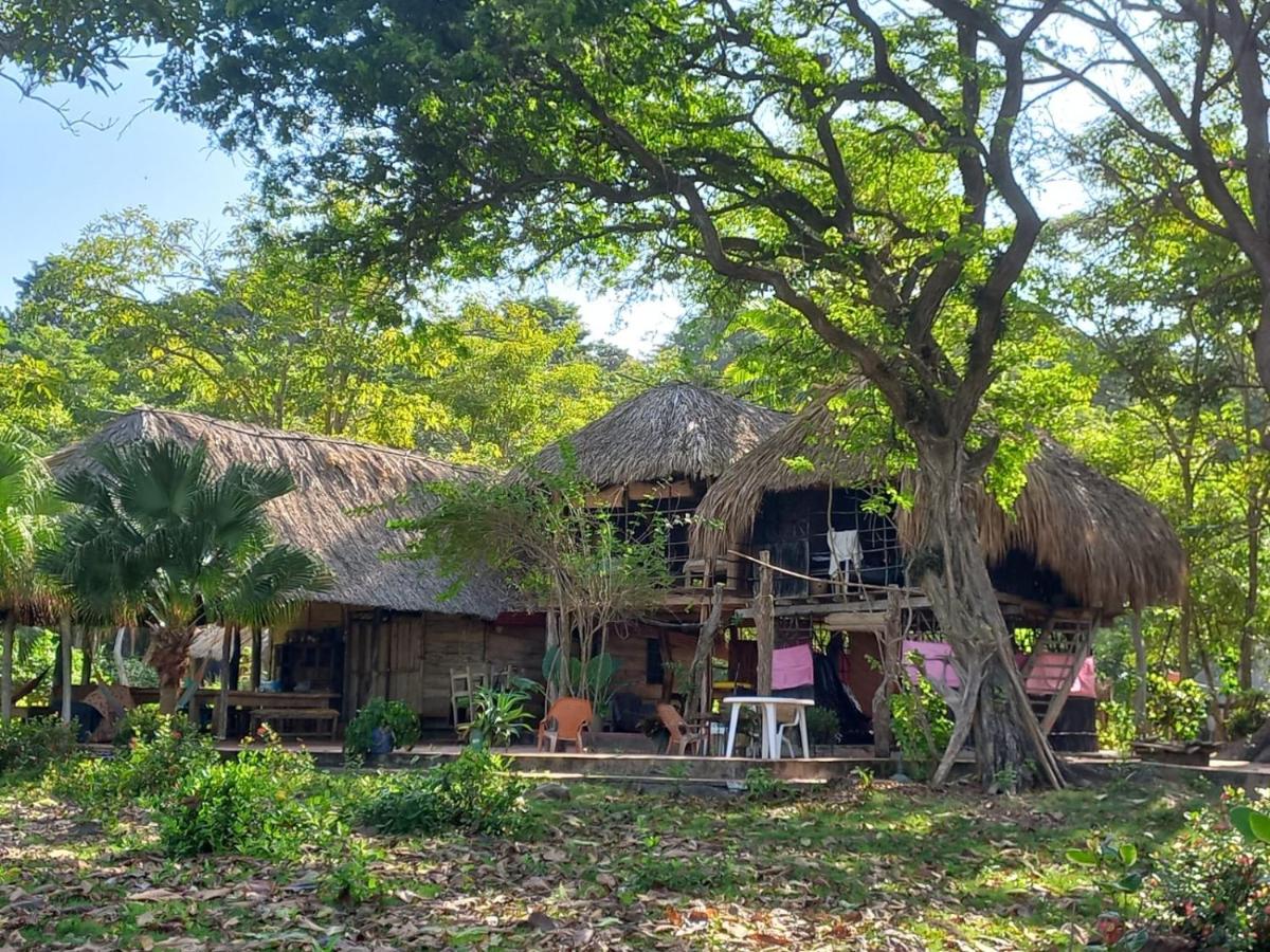 Pajarito Eco-Lodge frente al mar - Ferienwohnung