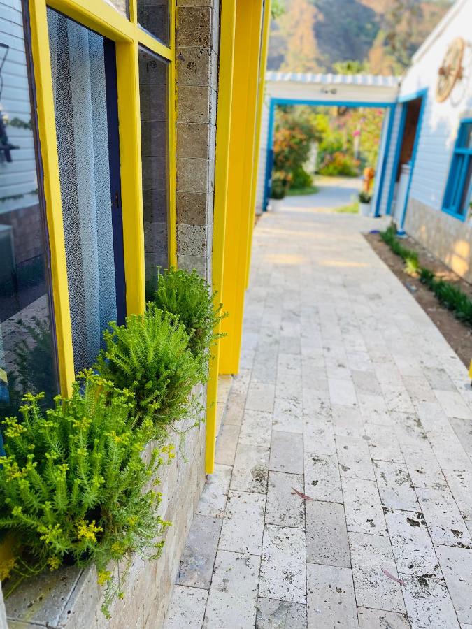 Çıralı Marina Loft - Chambres d’hôtes