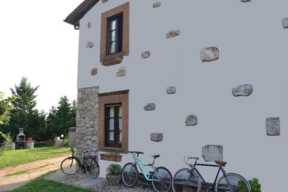 B&B Cocciano - Il Casale dell'Abate B&B - GUARDEA UMBRIA - Bed and Breakfast Cocciano