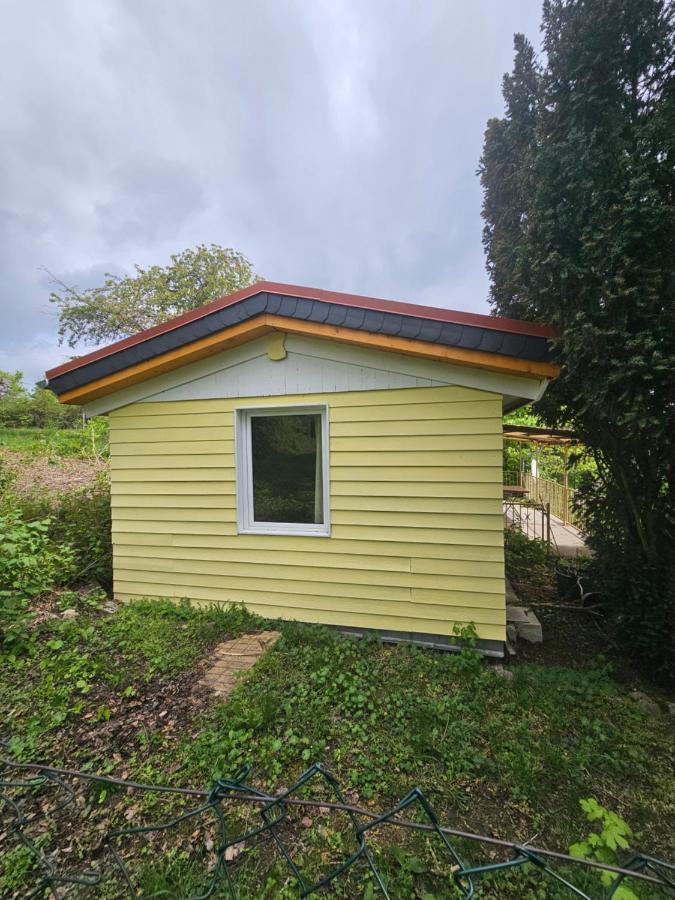Ferienhaus Portugieser auf dem Weinberg - B&B Naumburg