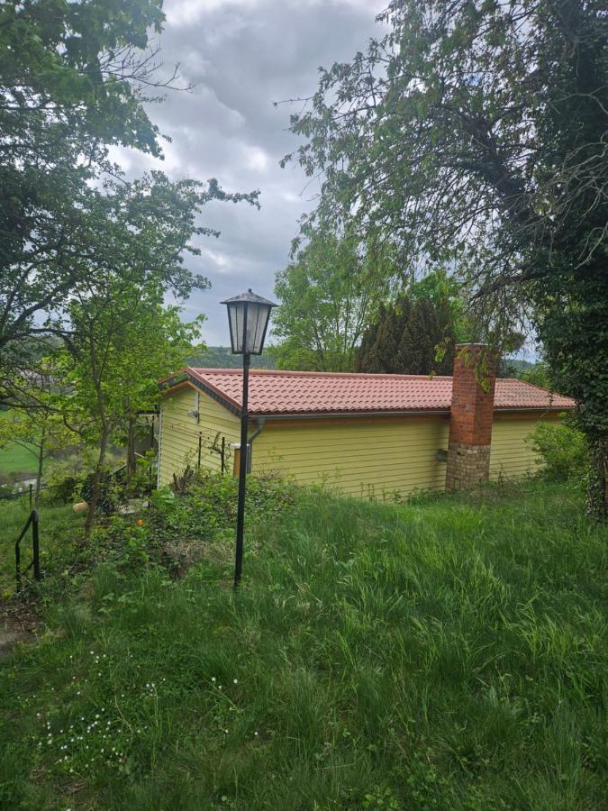 Ferienhaus Portugieser auf dem Weinberg - B&B Naumburg