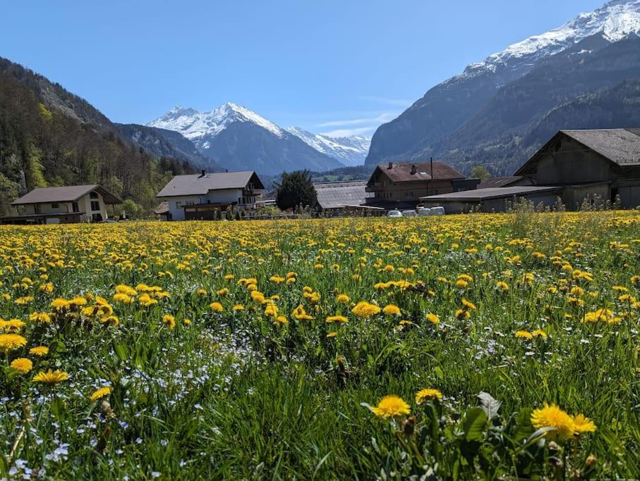 Family-friendly chalet apt with balcony - B&B