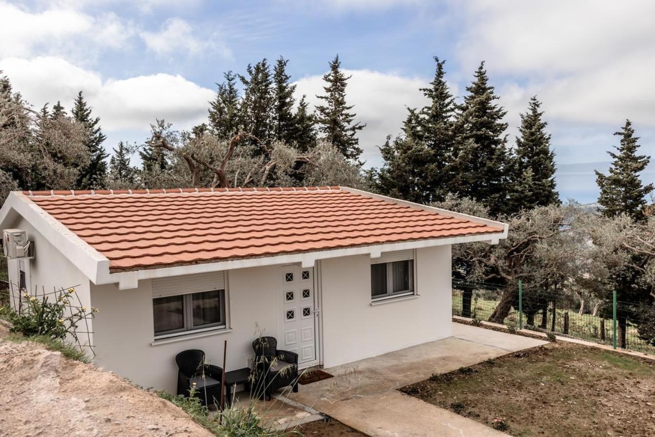 Olive Grove - Ferienwohnung