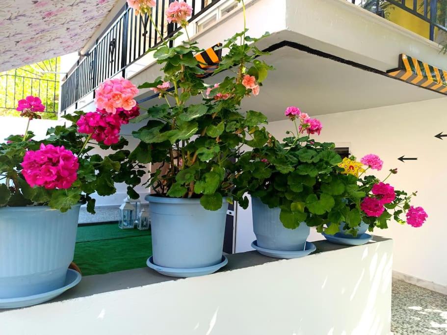 Apartment mit 2 Schlafzimmern