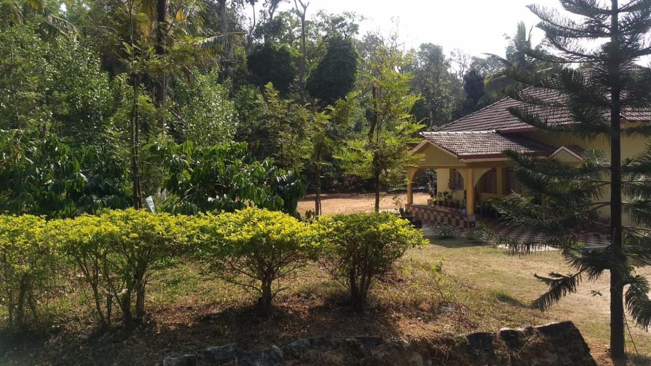 B&B Shringeri - Malnad Bliss - Bed and Breakfast Shringeri