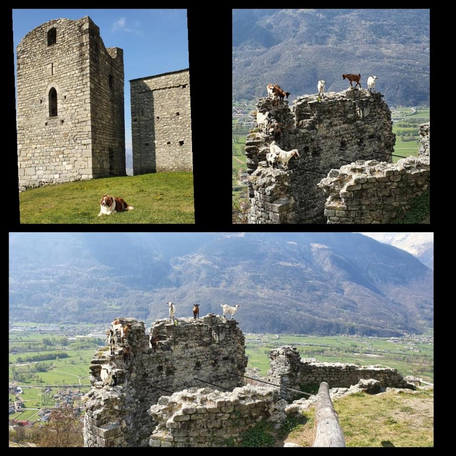valtellinadeicech - Bed and Breakfast Mello