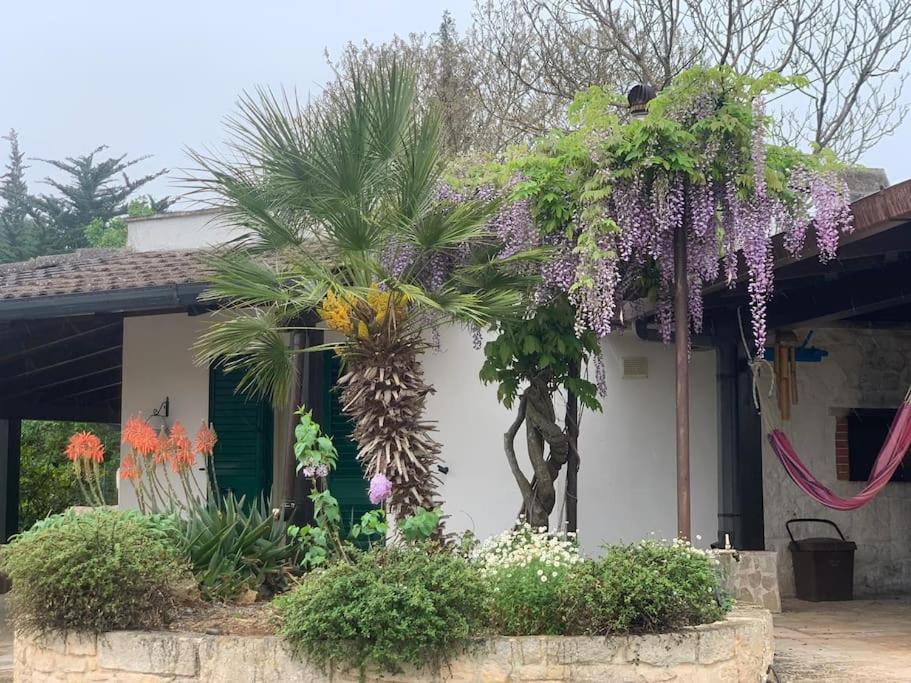 Trullo la glycine - Ferienwohnung