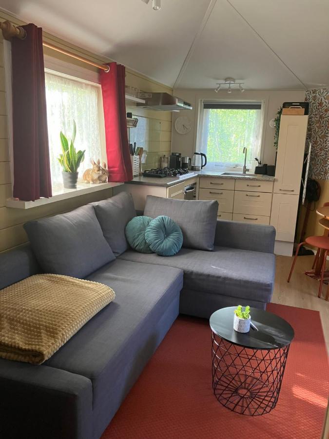 B en B Op Steendam, Tuinkamer onder de appelboom - B&B
