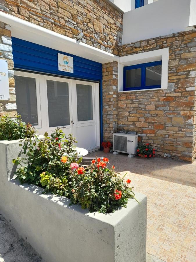 SummerAndros Pefkakia - Ferienwohnung