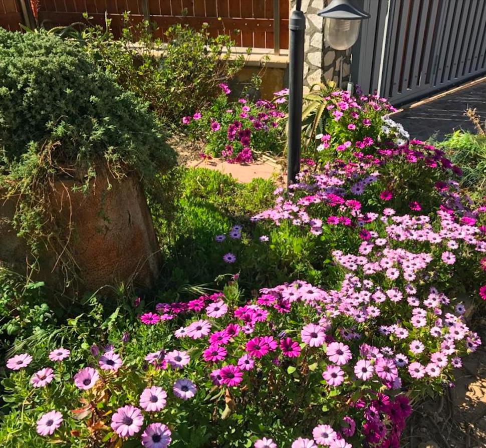 Villa Isola - Ferienwohnung Licata