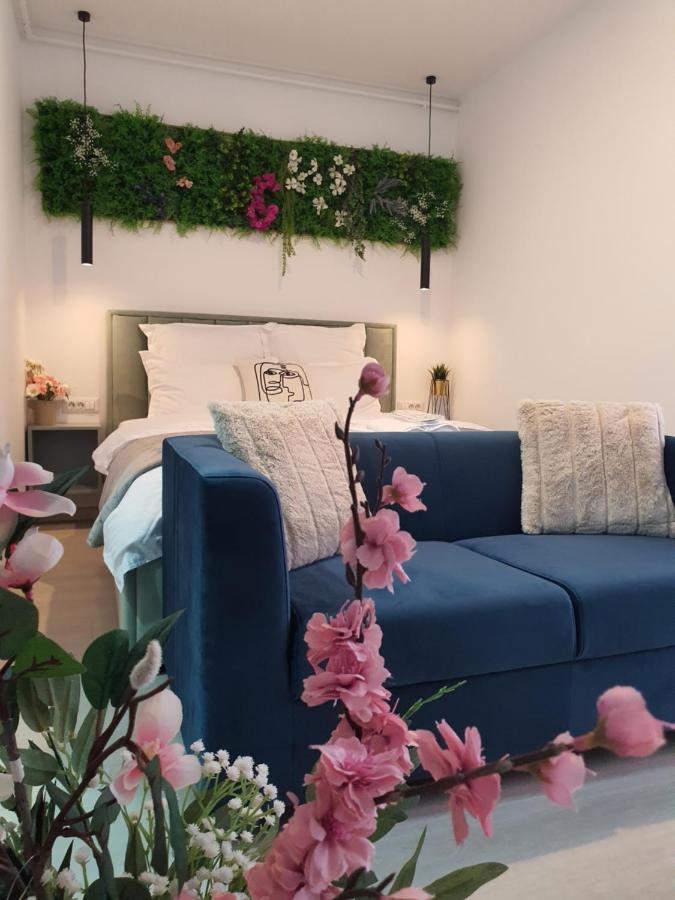 Premium Hils Brauner Studio - B&B Bucharest