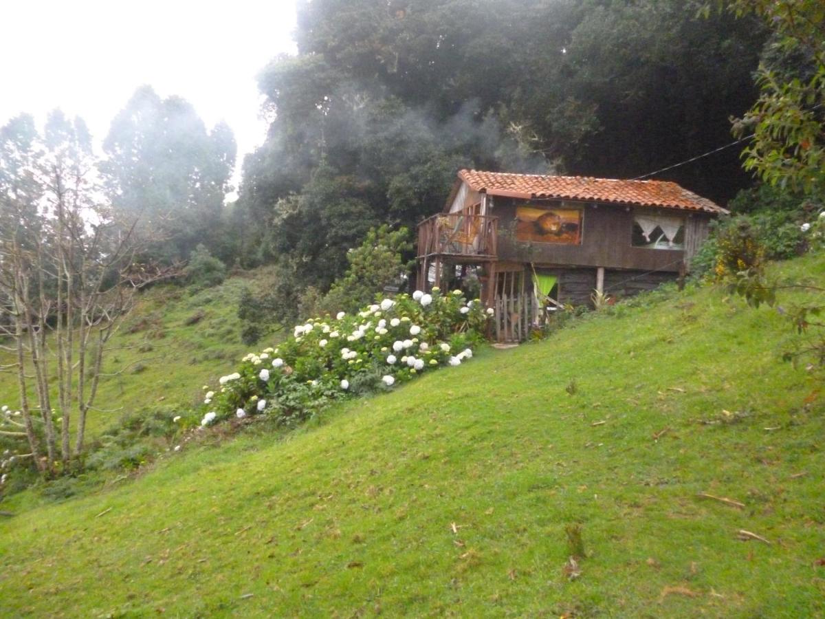 Villa (12 Adults)