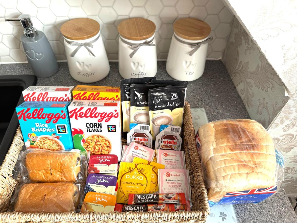 Studio with Garden View