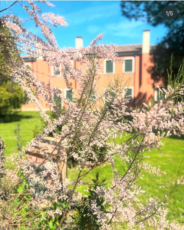 Agriturismo Ca' Bonelli 1924 - Chambres d’hôtes
