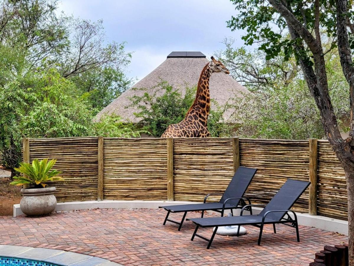 B&B Hoedspruit - Taaibos Bush Lodge - Bed and Breakfast Hoedspruit