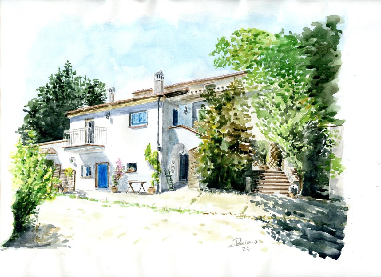 PODERE Sant'ANNA B&B - Chalet tra le vigne - B&B
