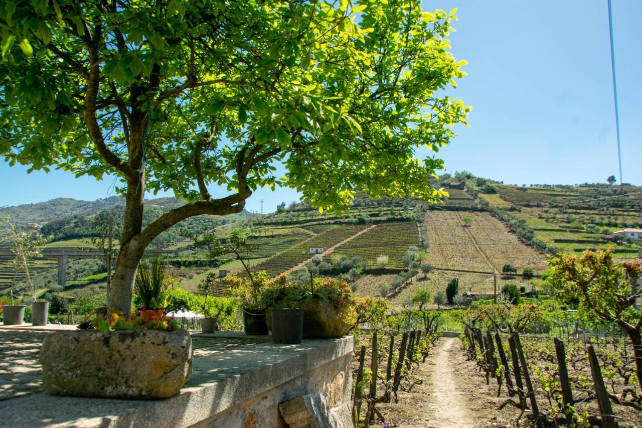 Cosy Historical House in Lamego - Quinta do Cabo - Ferienwohnung Lamego