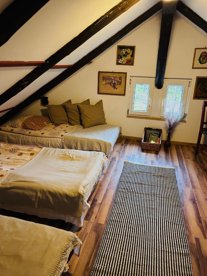 Bed in 4-Bed Mixed Dormitory Room